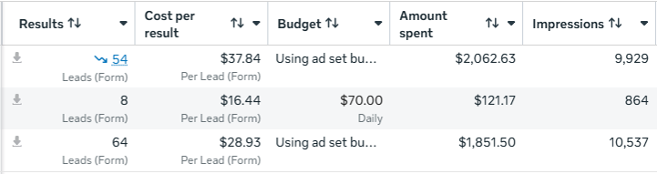 Facebook Ads Manager — leads, cost per lead, budget, and impressions across active campaigns